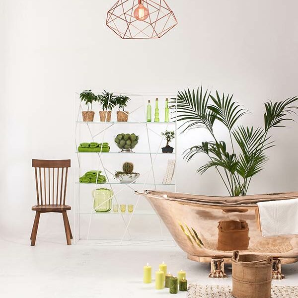 vegetal en architecture d'interieur