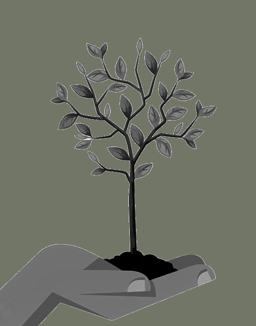 STUDIO LO DESIGN architecte éco-sensible sur Montpellier